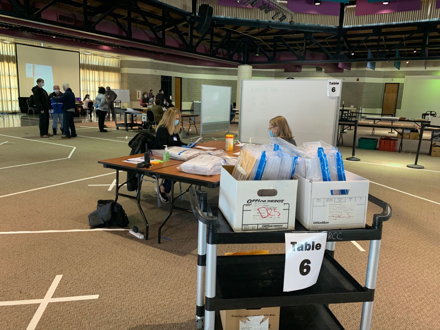 Referendum recount